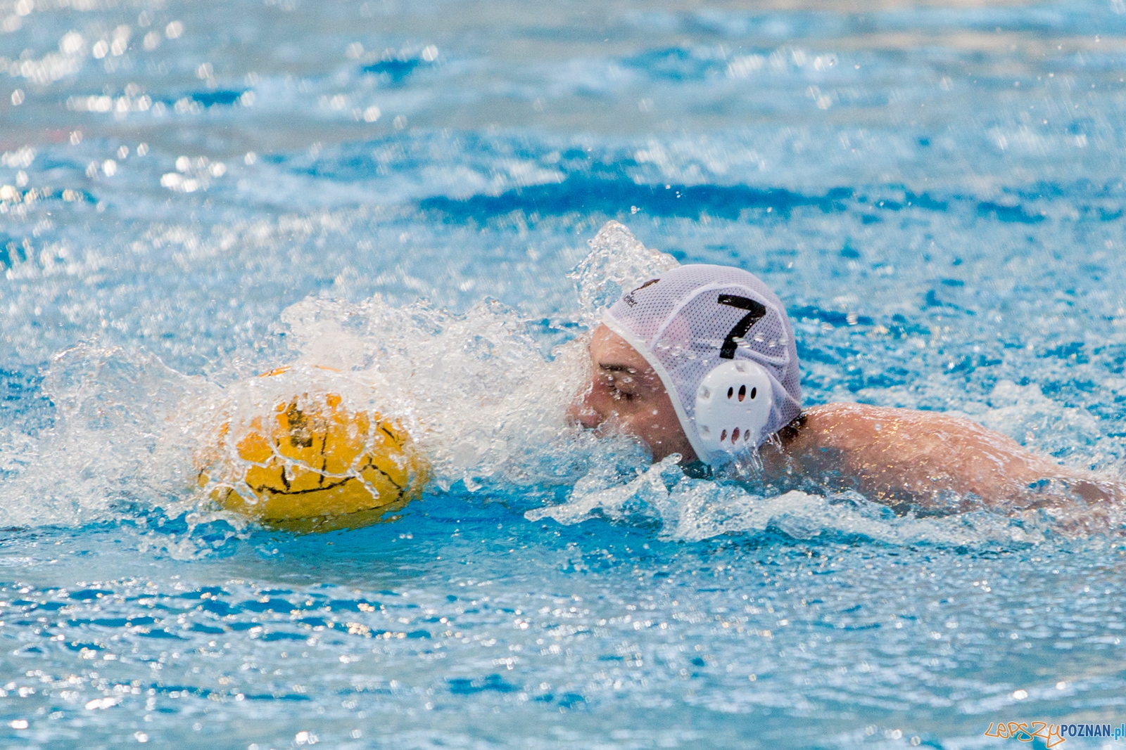 KS Waterpolo Poznań - Arkonia Szczecin Foto: lepszyPOZNAN.pl / Piotr Rychter KS Waterpolo Poznań - Arkonia Szczecin Foto: lepszyPOZNAN.pl / Piotr Rychter
