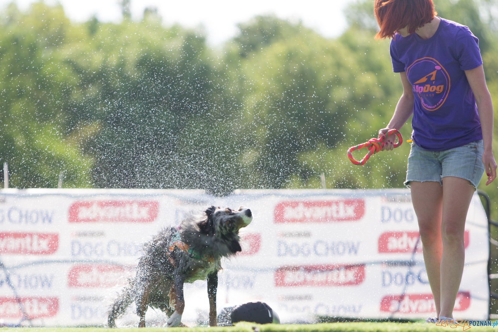 Latajace Psy Foto: lepszyPOZNAN.pl / Piotr Rychter Latajace Psy Foto: lepszyPOZNAN.pl / Piotr Rychter