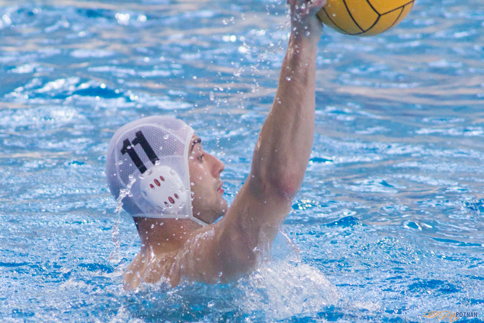 KS Waterpolo Poznań - Arkonia Szczecin Foto: Ewelina Jaśkowiak KS Waterpolo Poznań - Arkonia Szczecin Foto: Ewelina Jaśkowiak