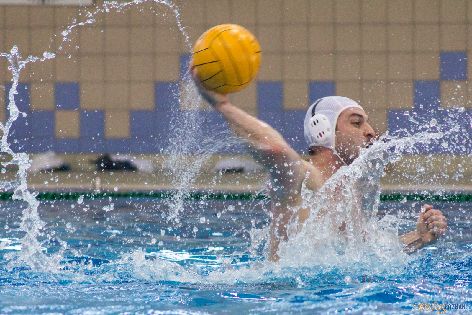 KS Waterpolo Poznań - Arkonia Szczecin Foto: Ewelina Jaśkowiak KS Waterpolo Poznań - Arkonia Szczecin Foto: Ewelina Jaśkowiak