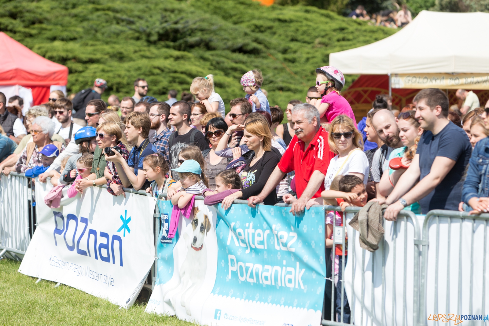 Latajace Psy Foto: lepszyPOZNAN.pl / Piotr Rychter Latajace Psy Foto: lepszyPOZNAN.pl / Piotr Rychter