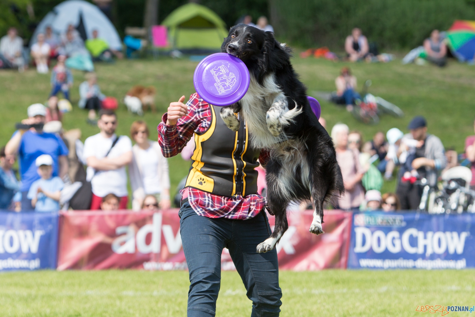 Latajace Psy Foto: lepszyPOZNAN.pl / Piotr Rychter Latajace Psy Foto: lepszyPOZNAN.pl / Piotr Rychter