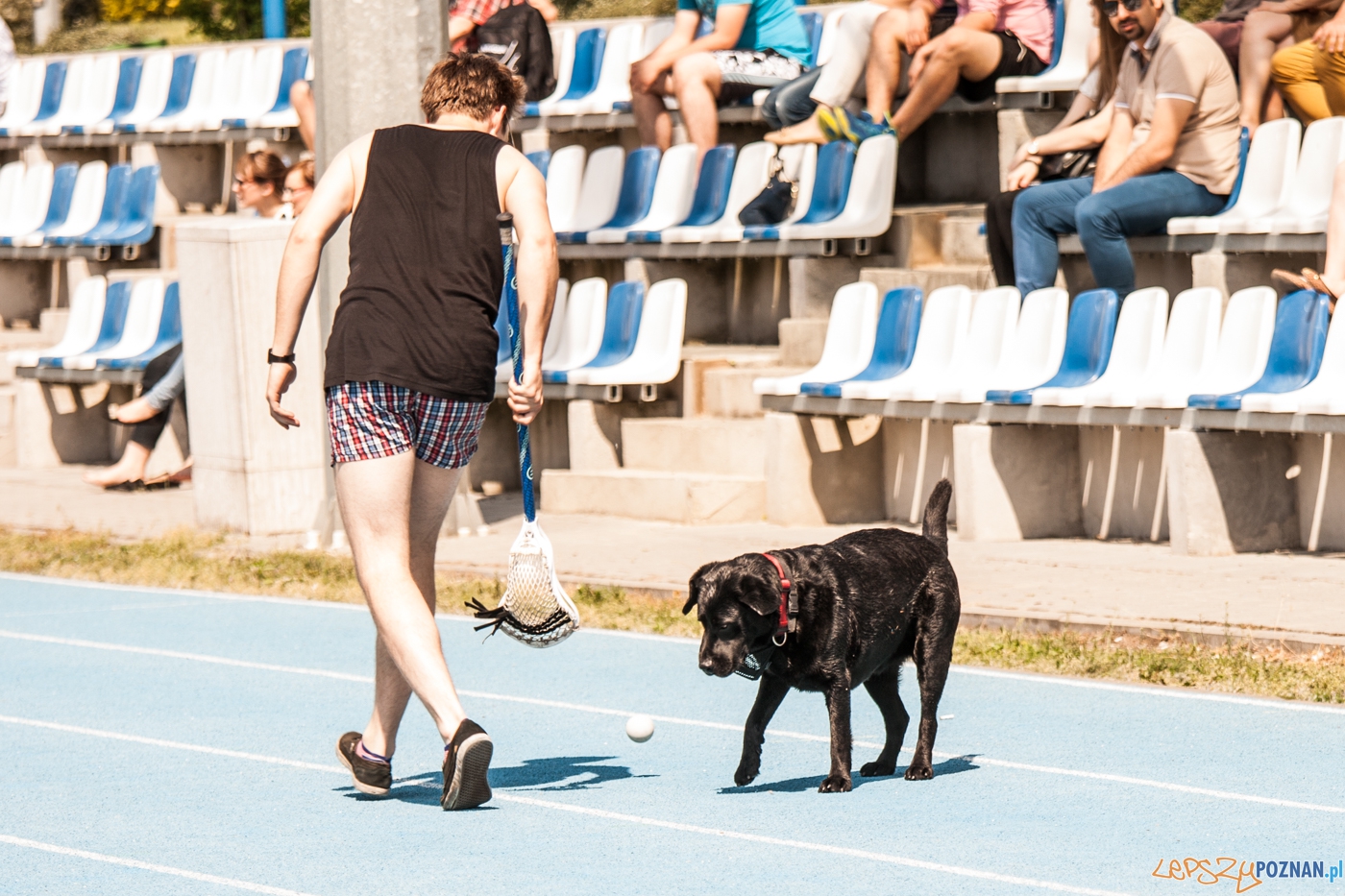 Mistrzostwa Polski w lacross - Poznań Hussars Ladies - Kosynier Foto: © lepszyPOZNAN.pl / Karolina Kiraga Mistrzostwa Polski w lacross - Poznań Hussars Ladies - Kosynier Foto: © lepszyPOZNAN.pl / Karolina Kiraga