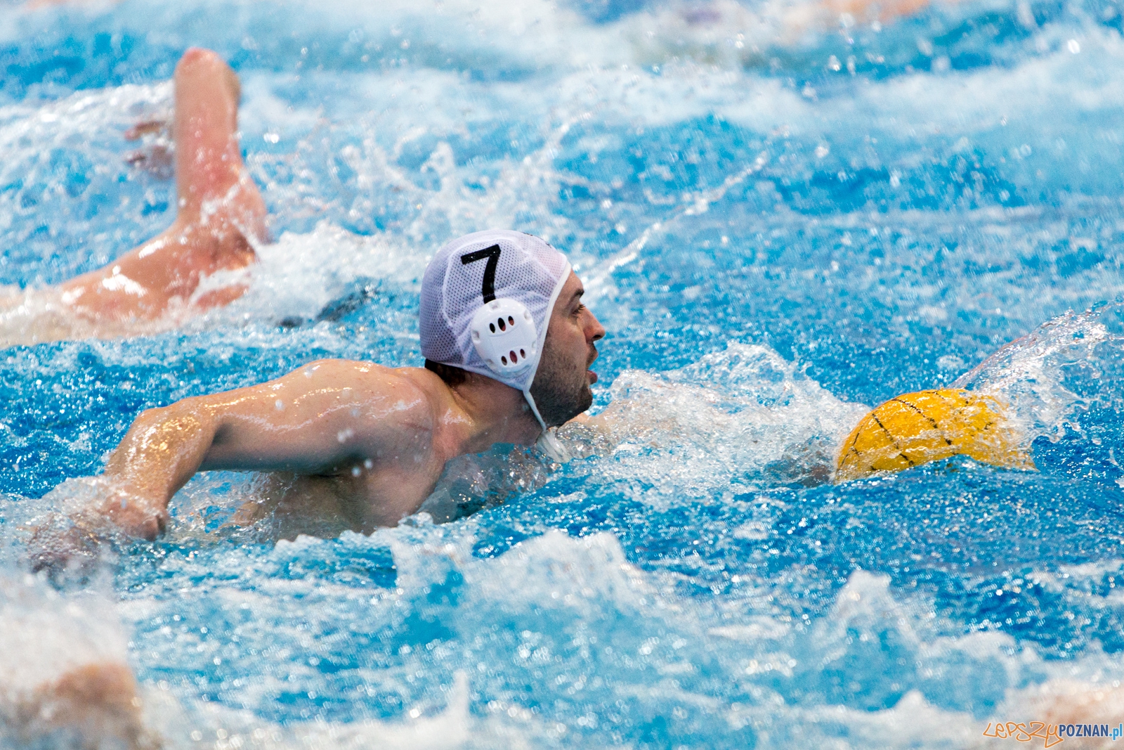 KS Waterpolo Poznań - Arkonia Szczecin Foto: lepszyPOZNAN.pl / Piotr Rychter KS Waterpolo Poznań - Arkonia Szczecin Foto: lepszyPOZNAN.pl / Piotr Rychter