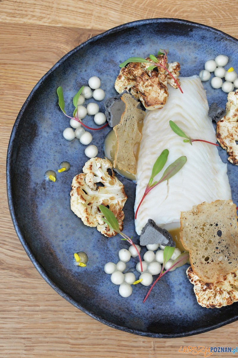 4. Drukarnia - Turbot, koper ogrodowy, tapioka, kalafior, zatar, botwinka, prosecco Foto: 4. Drukarnia - Turbot, koper ogrodowy, tapioka, kalafior, zatar, botwinka, prosecco Foto: