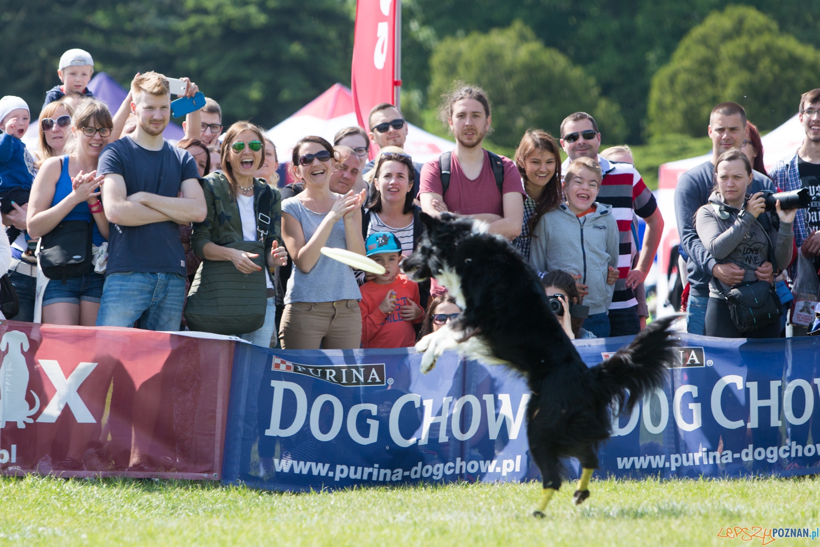 Latajace Psy Foto: lepszyPOZNAN.pl / Piotr Rychter Latajace Psy Foto: lepszyPOZNAN.pl / Piotr Rychter