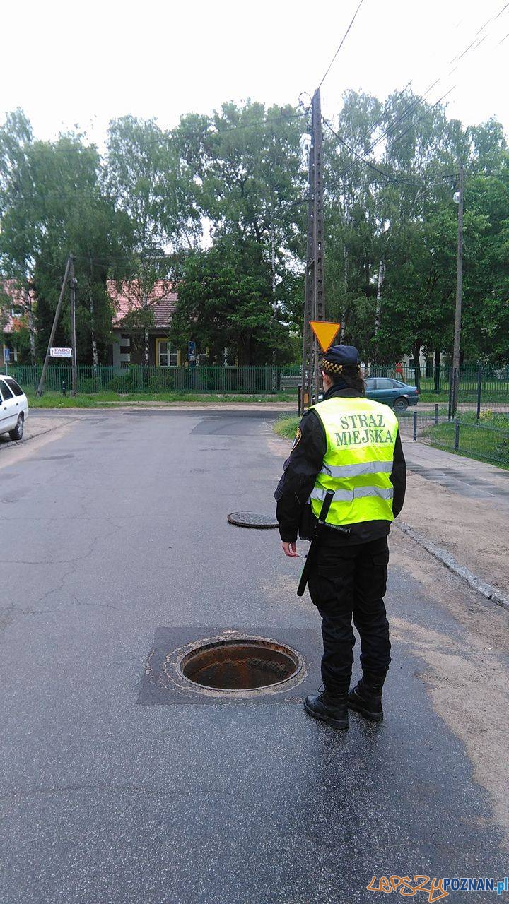 Niebezpieczne miejsca – otwarta studzienka Foto: Straż Miejska Niebezpieczne miejsca – otwarta studzienka Foto: Straż Miejska