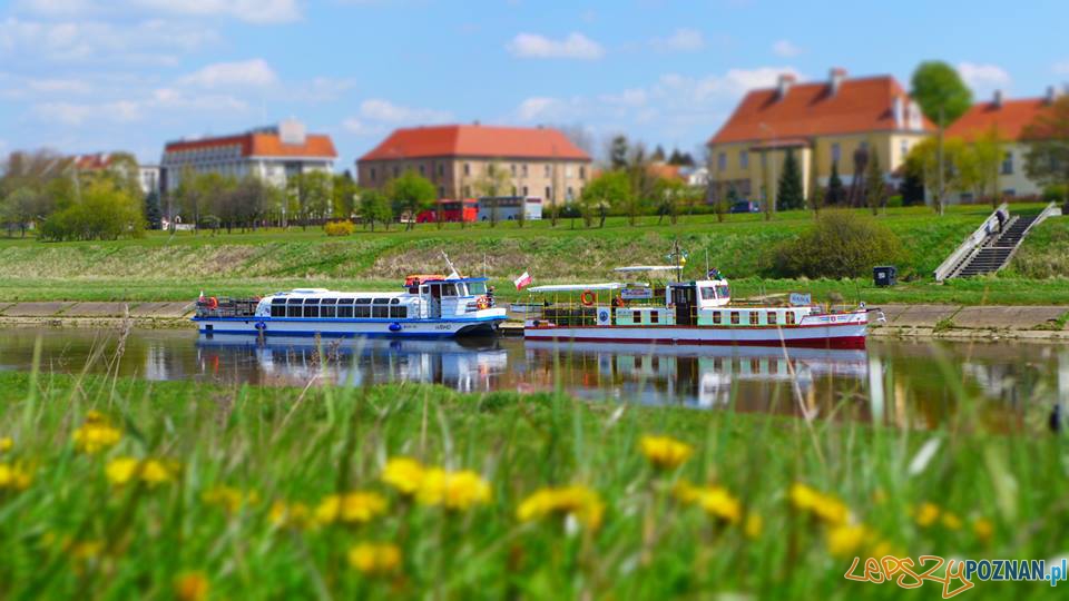 Tramwaj Wodny Poznań Foto: facebook Tramwaj Wodny Poznań Foto: facebook