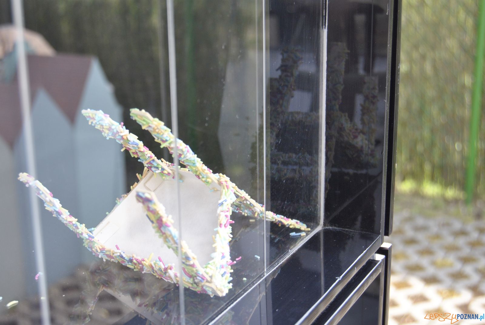 Work In Progress Foto: CSW / materiały prasowe Work In Progress Foto: CSW / materiały prasowe