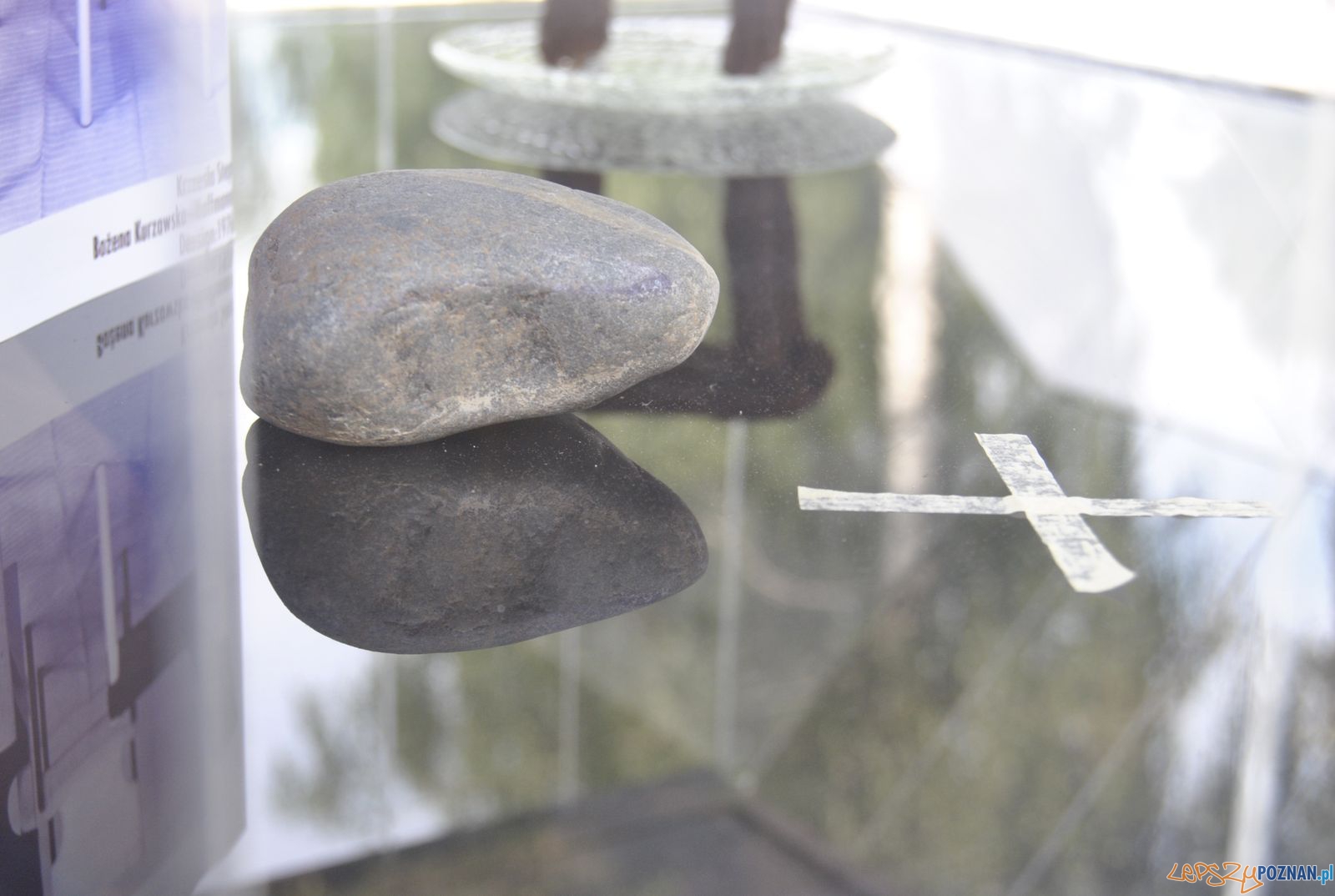 Work In Progress Foto: CSW / materiały prasowe Work In Progress Foto: CSW / materiały prasowe