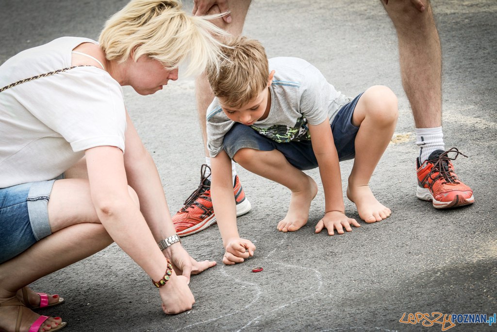 Lato na Targach (zabawy) (2) Foto: Lato na Targach (zabawy) (2) Foto: