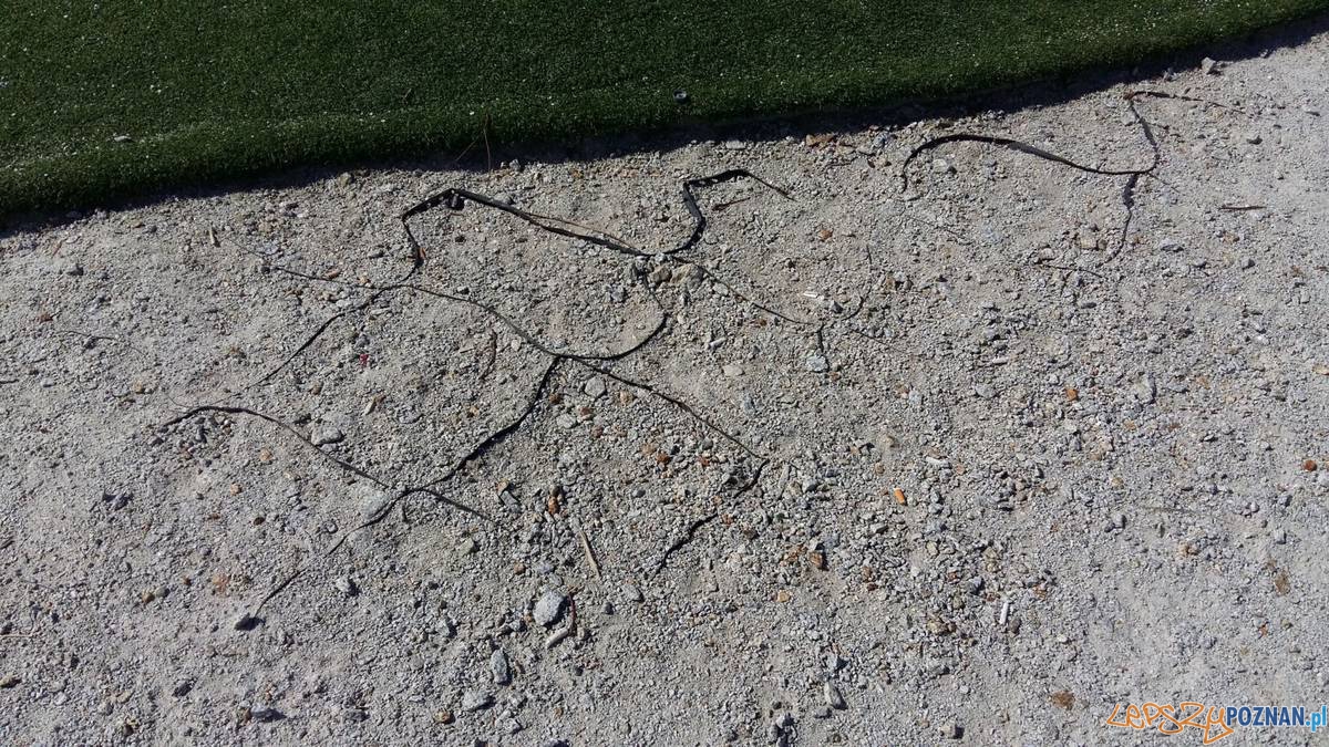 Kto zapłaci za zniszczenia? Foto: UMiG Swarzędz Kto zapłaci za zniszczenia? Foto: UMiG Swarzędz