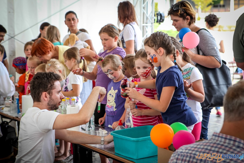 Lato na Targach (warsztaty chemiczne) Foto: Lato na Targach (warsztaty chemiczne) Foto: