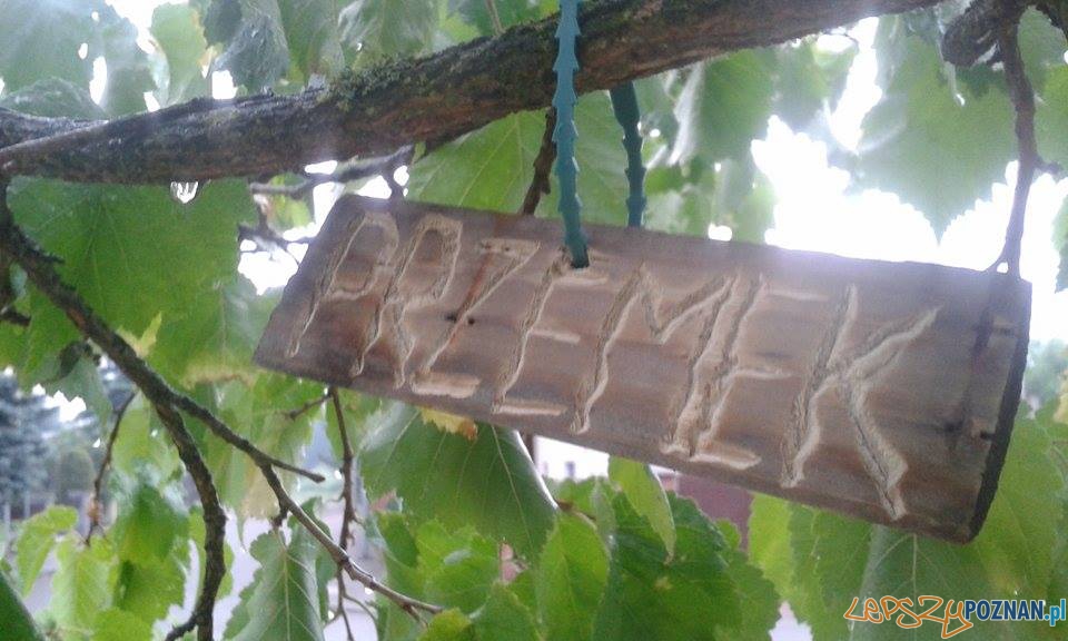 Czy Justyna będzie ścięta? Foto: facebook.com/poznan.antoninek / Ola Czy Justyna będzie ścięta? Foto: facebook.com/poznan.antoninek / Ola