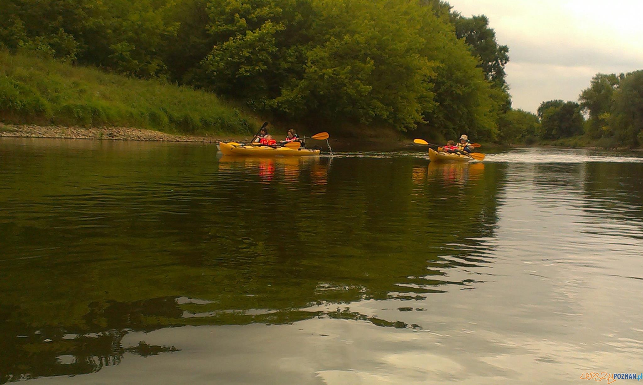 Akcja Lato Foto: POSiR Akcja Lato Foto: POSiR