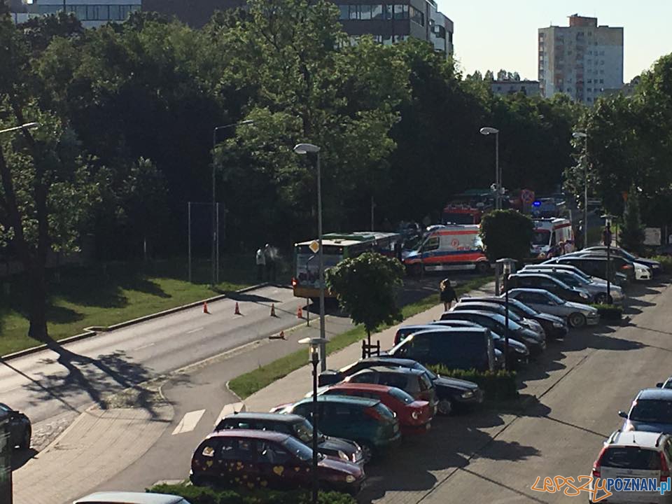 Śmiertelny wypadek na Grunwaldzie Foto: fb.zakorkowanypoznan / Daniel Kaczmarek Śmiertelny wypadek na Grunwaldzie Foto: fb.zakorkowanypoznan / Daniel Kaczmarek