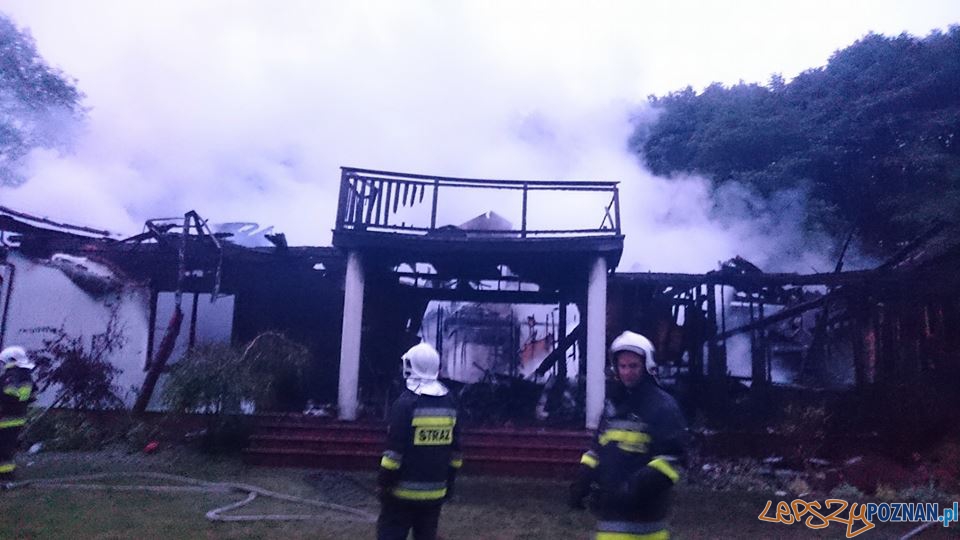 Pożar na Biskupińskiej Foto: OSP Suchy Las Pożar na Biskupińskiej Foto: OSP Suchy Las