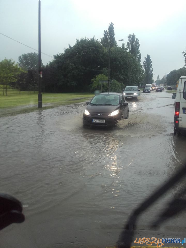 Lało ja z cebra - wuchta ulic zalana Foto: Euro Hol Lało ja z cebra - wuchta ulic zalana Foto: Euro Hol