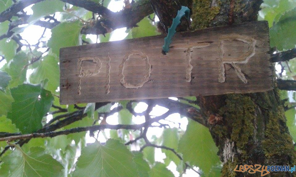 Czy Justyna będzie ścięta? Foto: facebook.com/poznan.antoninek / Ola Czy Justyna będzie ścięta? Foto: facebook.com/poznan.antoninek / Ola