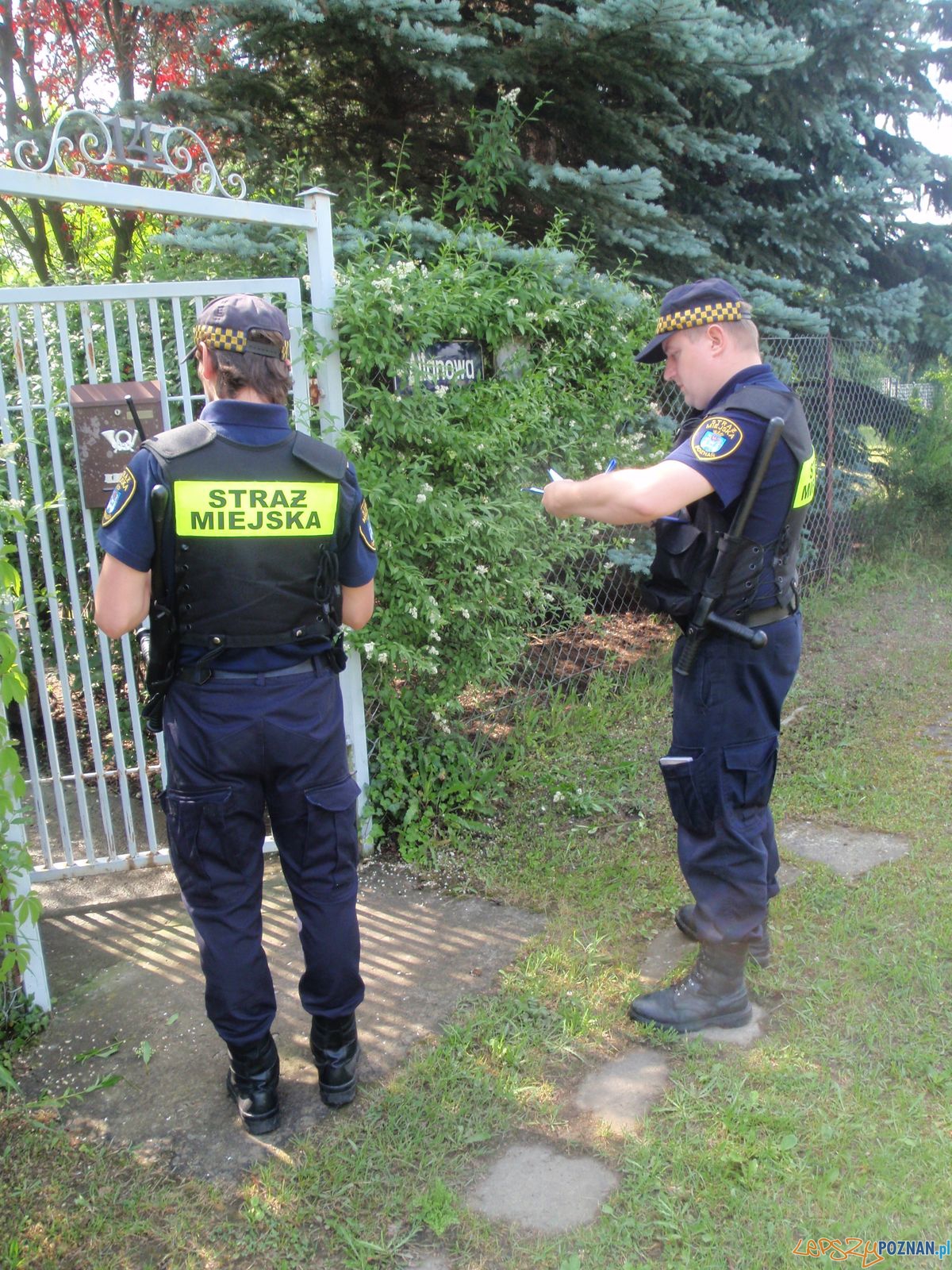 Kontrole Straży Miejskiej w Kiekrzu Foto: SM Kontrole Straży Miejskiej w Kiekrzu Foto: SM