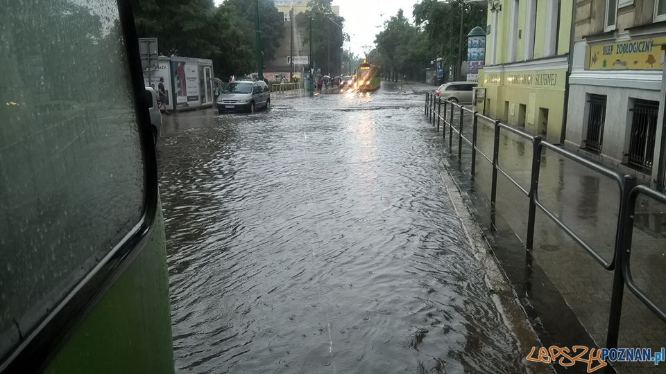 Lało ja z cebra - wuchta ulic zalana Foto: Krzysztof Bartosiak Lało ja z cebra - wuchta ulic zalana Foto: Krzysztof Bartosiak