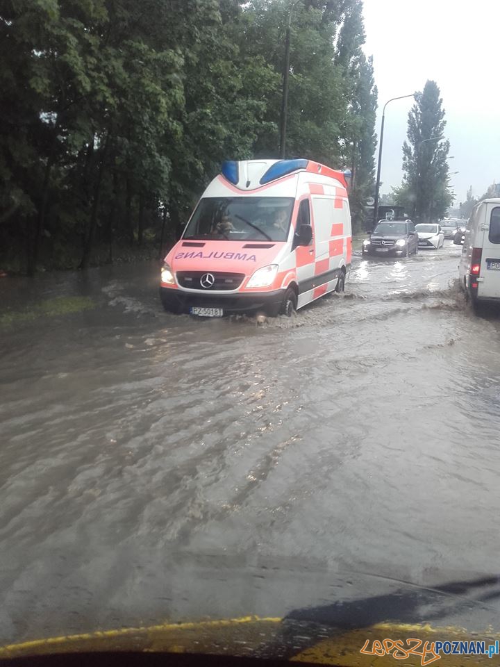 Lało ja z cebra - wuchta ulic zalana Foto: Euro Hol Lało ja z cebra - wuchta ulic zalana Foto: Euro Hol