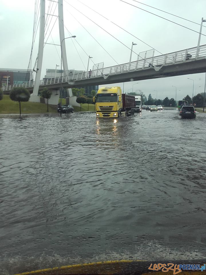 Lało ja z cebra - wuchta ulic zalana Foto: Euro Hol Lało ja z cebra - wuchta ulic zalana Foto: Euro Hol