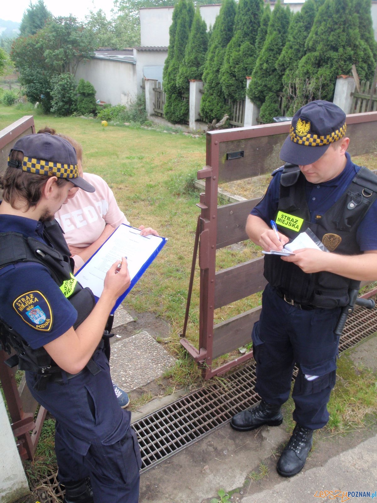 Kontrole Straży Miejskiej w Kiekrzu Foto: SM Kontrole Straży Miejskiej w Kiekrzu Foto: SM