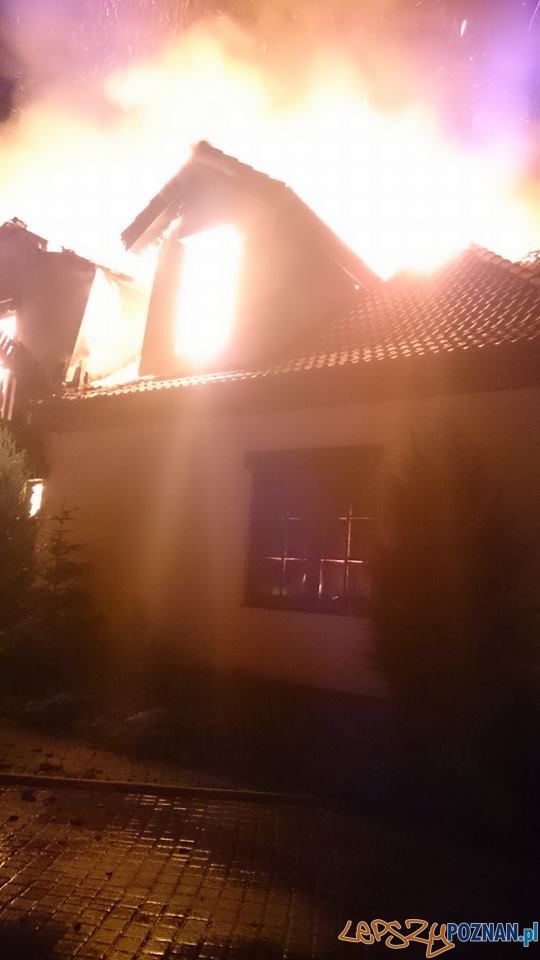 Pożar na Biskupińskiej Foto: OSP Suchy Las Pożar na Biskupińskiej Foto: OSP Suchy Las