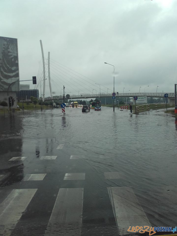 Lało ja z cebra - wuchta ulic zalana Foto: Euro Hol Lało ja z cebra - wuchta ulic zalana Foto: Euro Hol