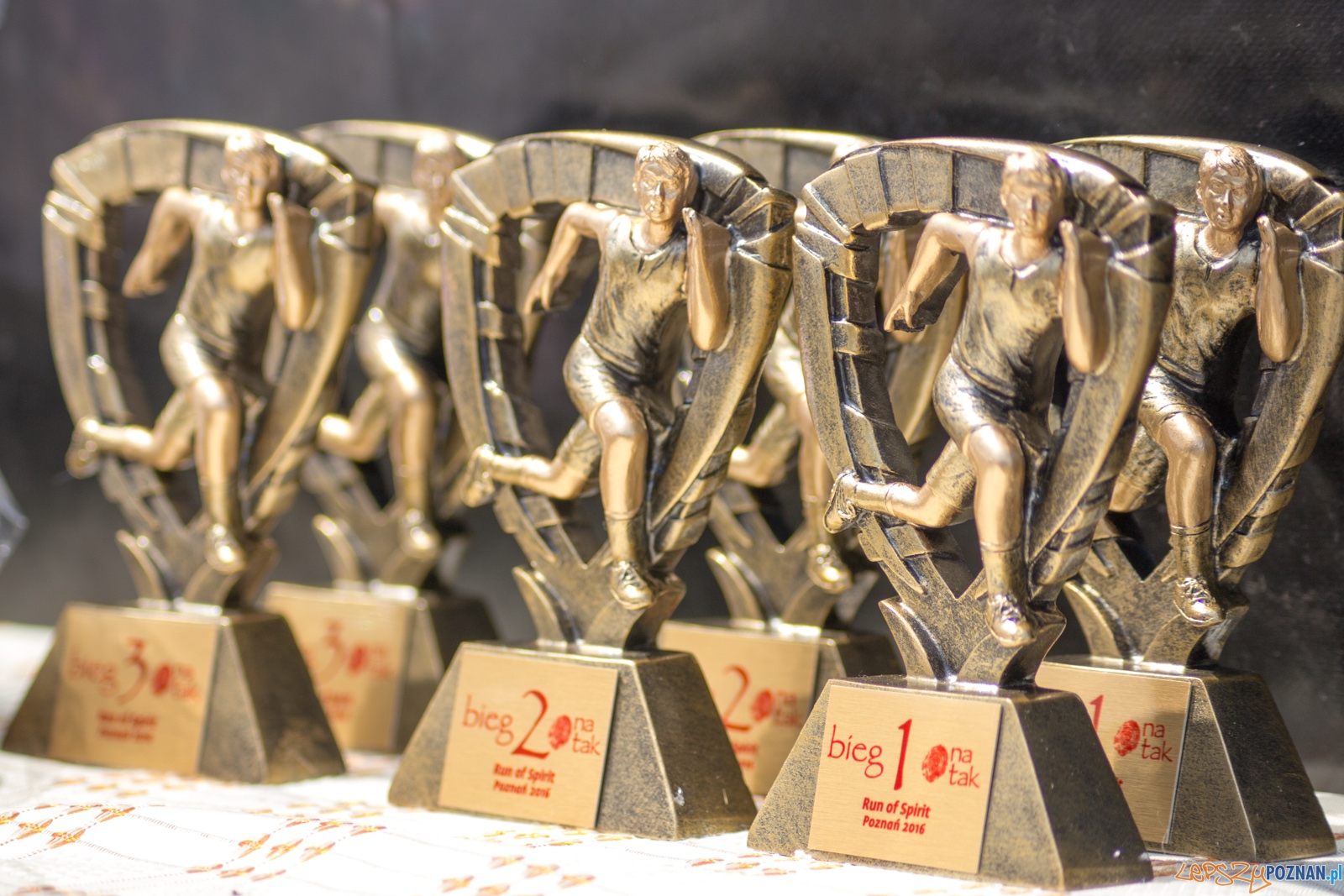 5 Bieg na Tak Foto: Ewelina Jaśkowiak 5 Bieg na Tak Foto: Ewelina Jaśkowiak