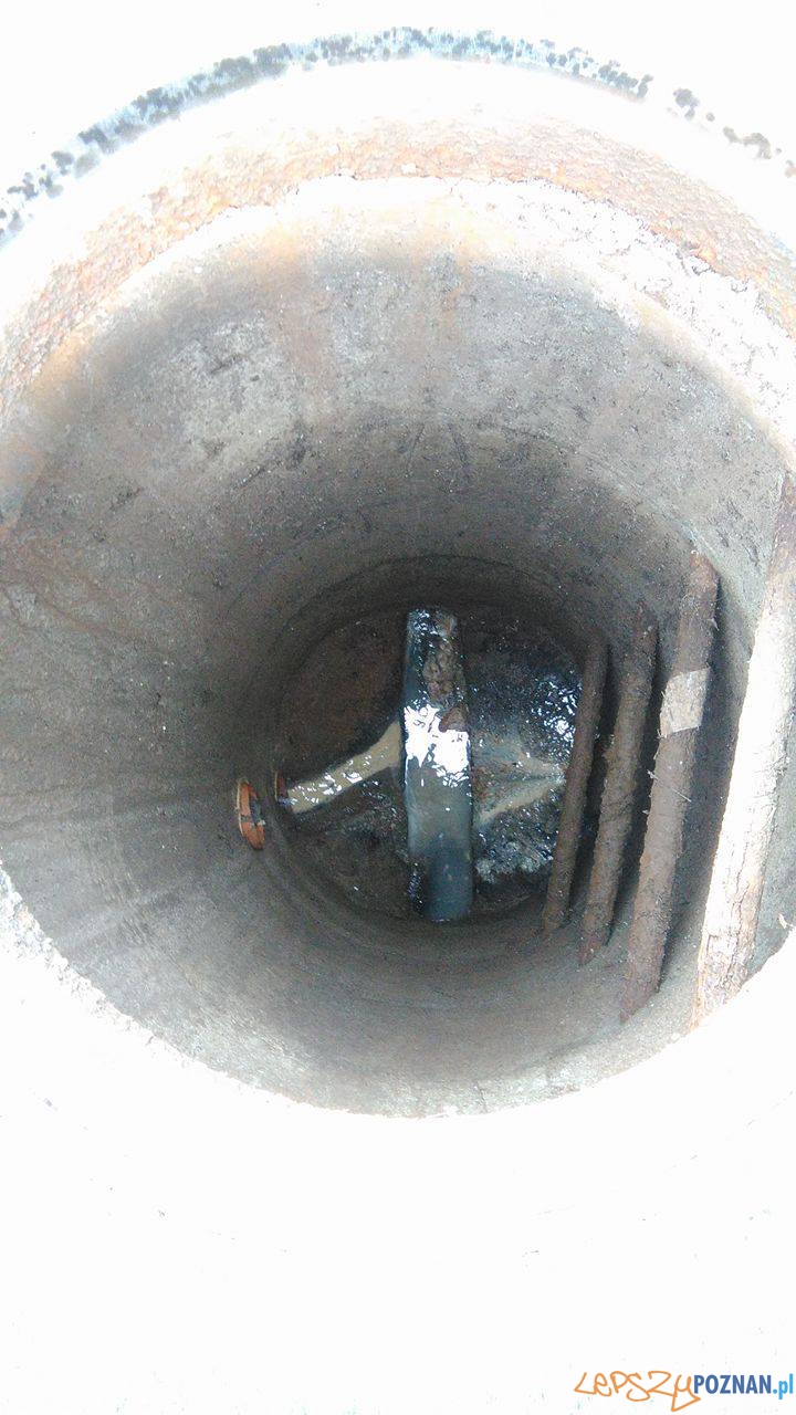 Niebezpieczne miejsca – otwarta studzienka Foto: Straż Miejska Niebezpieczne miejsca – otwarta studzienka Foto: Straż Miejska