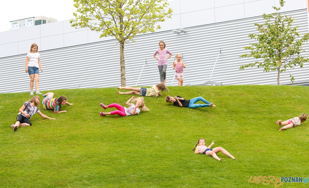 Lato na Targach (zabawy) (1) Foto: Lato na Targach (zabawy) (1) Foto: