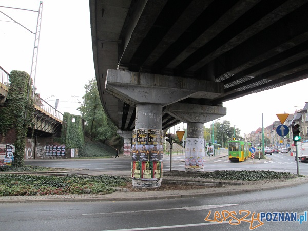 Sztuczny bluszcz - rzecz niebrzydka i praktyczna zarazem Foto: ZTM Sztuczny bluszcz - rzecz niebrzydka i praktyczna zarazem Foto: ZTM