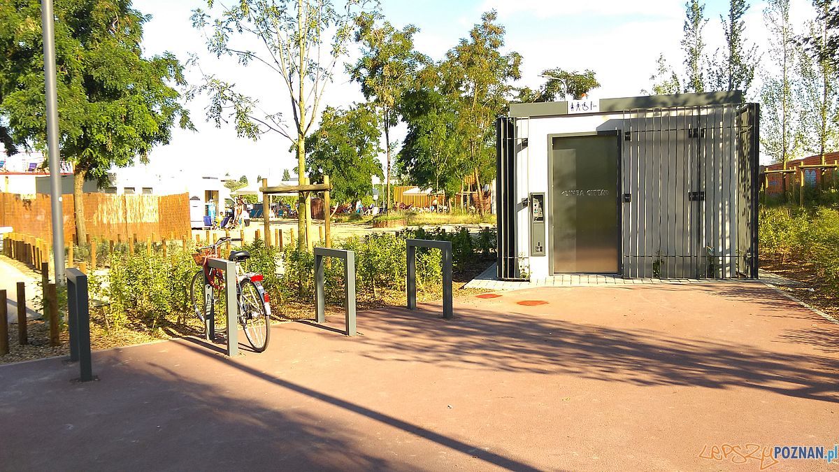 Park w Starym Korycie - fot. Tomasz Dworek (17) Foto: Park w Starym Korycie - fot. Tomasz Dworek (17) Foto: