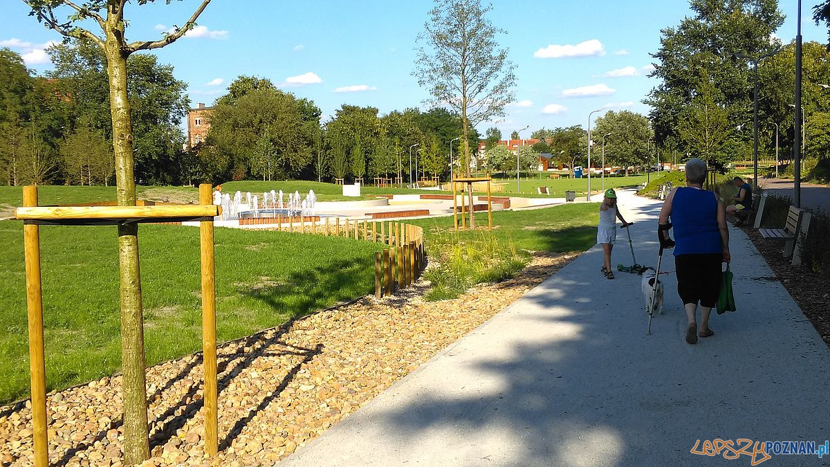 Park w Starym Korycie - fot. Tomasz Dworek (8) Foto: Park w Starym Korycie - fot. Tomasz Dworek (8) Foto: