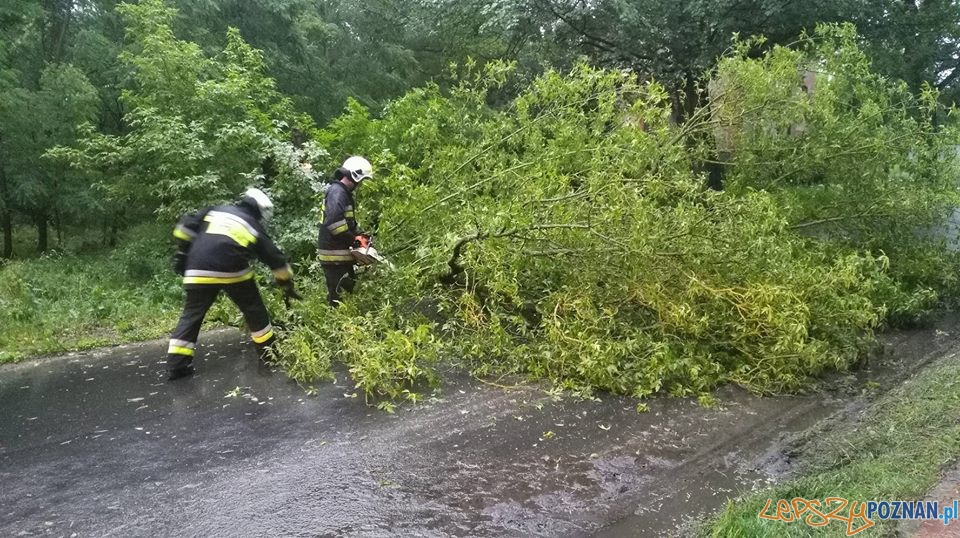 Interwencje strażaków w okolicach Skoków Foto: OSP Skoki Interwencje strażaków w okolicach Skoków Foto: OSP Skoki
