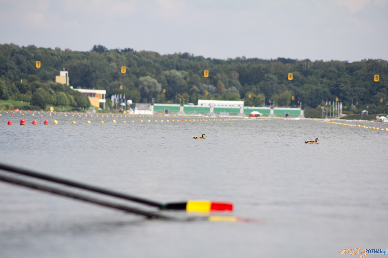 Coupe de la Jeunesse Foto: Ewelina Jaśkowiak Coupe de la Jeunesse Foto: Ewelina Jaśkowiak