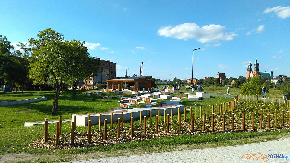 Park w Starym Korycie - fot. Tomasz Dworek (18) Foto: Park w Starym Korycie - fot. Tomasz Dworek (18) Foto: