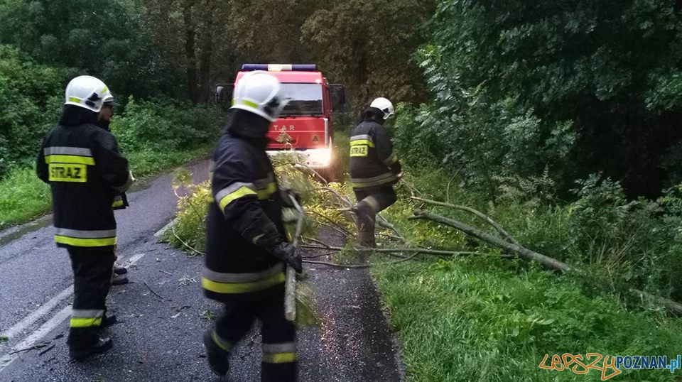 Interwencje strażaków w okolicach Skoków Foto: OSP Skoki Interwencje strażaków w okolicach Skoków Foto: OSP Skoki