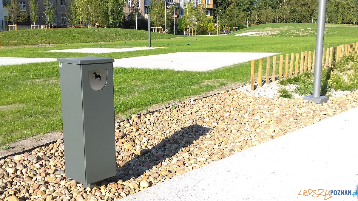 Park w Starym Korycie - fot. Tomasz Dworek (7) Foto: Park w Starym Korycie - fot. Tomasz Dworek (7) Foto: