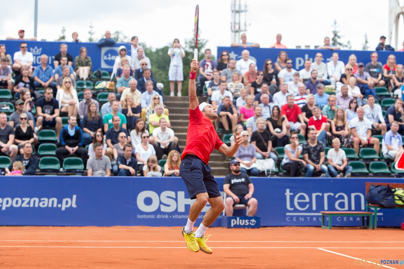 Poznań Open 2016 Foto: lepszyPOZNAN.pl / Piotr Rychter Poznań Open 2016 Foto: lepszyPOZNAN.pl / Piotr Rychter