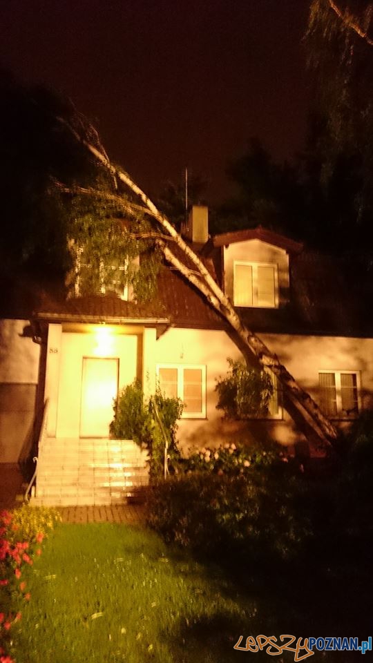 Drzewo przewróciło się na dom - ul. Jagodowa Suchy Las Foto: OSP Suchy Las Drzewo przewróciło się na dom - ul. Jagodowa Suchy Las Foto: OSP Suchy Las