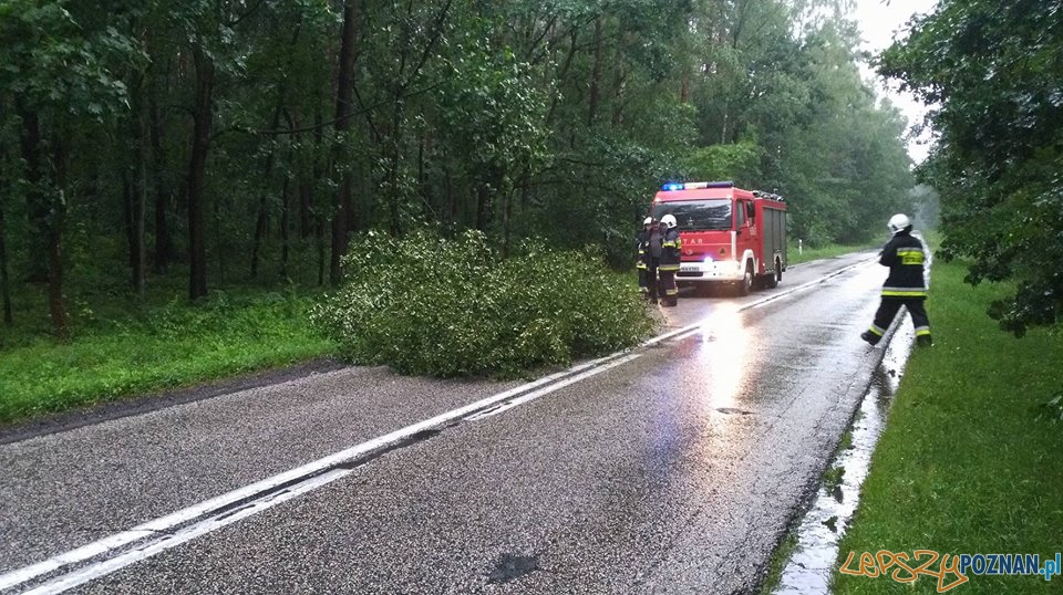 Interwencje strażaków w okolicach Skoków Foto: OSP Skoki Interwencje strażaków w okolicach Skoków Foto: OSP Skoki