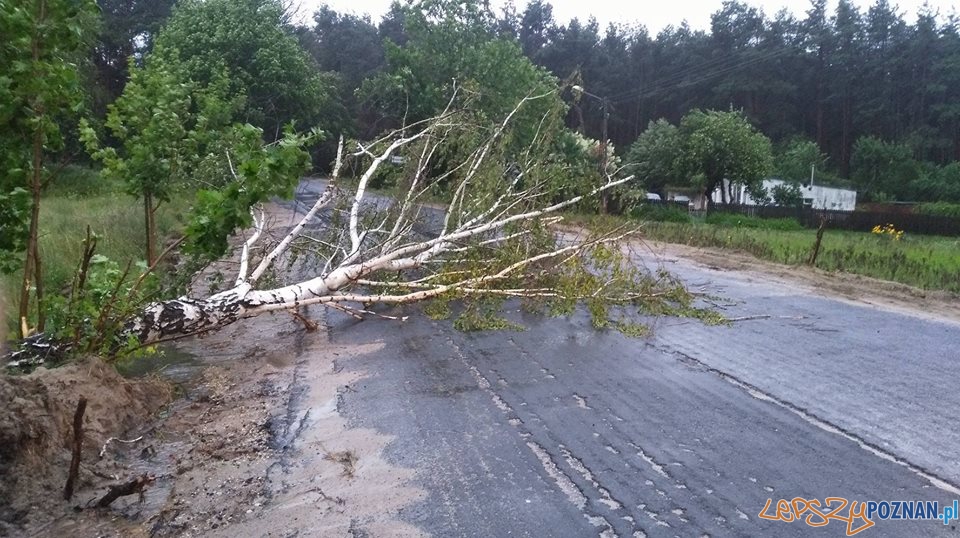 Interwencje strażaków w okolicach Skoków Foto: OSP Skoki Interwencje strażaków w okolicach Skoków Foto: OSP Skoki