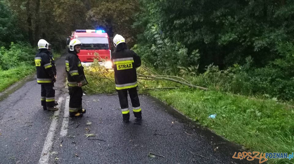 Interwencje strażaków w okolicach Skoków Foto: OSP Skoki Interwencje strażaków w okolicach Skoków Foto: OSP Skoki