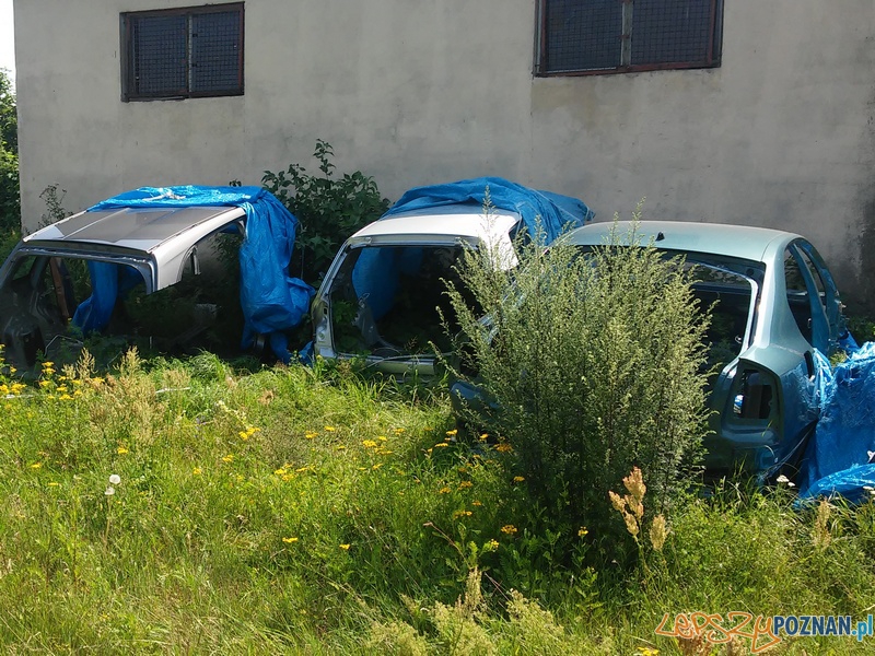 Kolejne dziuple z kradzionymi częściami Foto: KWP w Poznaniu Kolejne dziuple z kradzionymi częściami Foto: KWP w Poznaniu