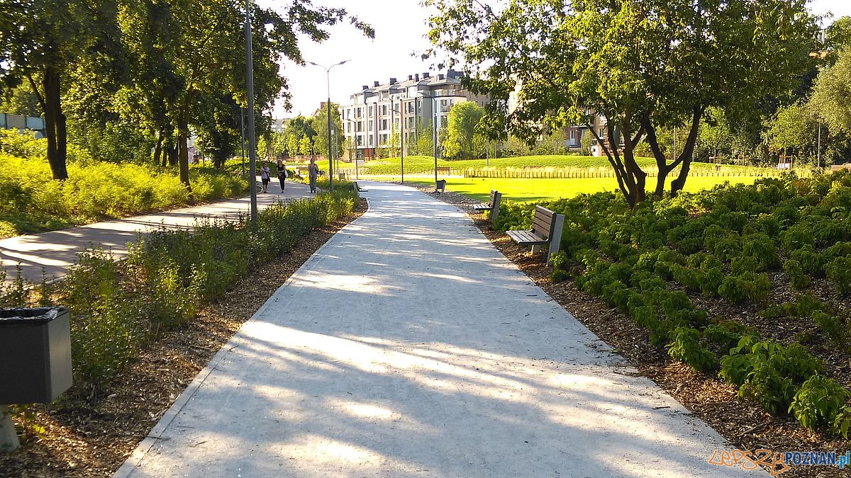 Park w Starym Korycie - fot. Tomasz Dworek (13) Foto: Park w Starym Korycie - fot. Tomasz Dworek (13) Foto: