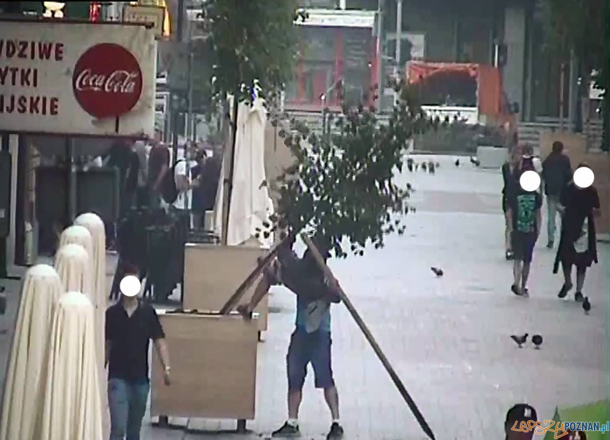 Wandale na Wrocławskiej Foto: SMMP Wandale na Wrocławskiej Foto: SMMP