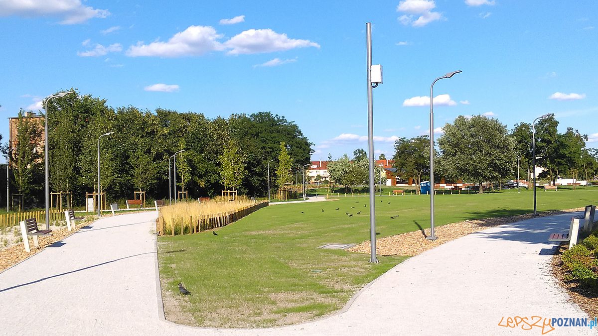 Park w Starym Korycie - fot. Tomasz Dworek (11) Foto: Park w Starym Korycie - fot. Tomasz Dworek (11) Foto: